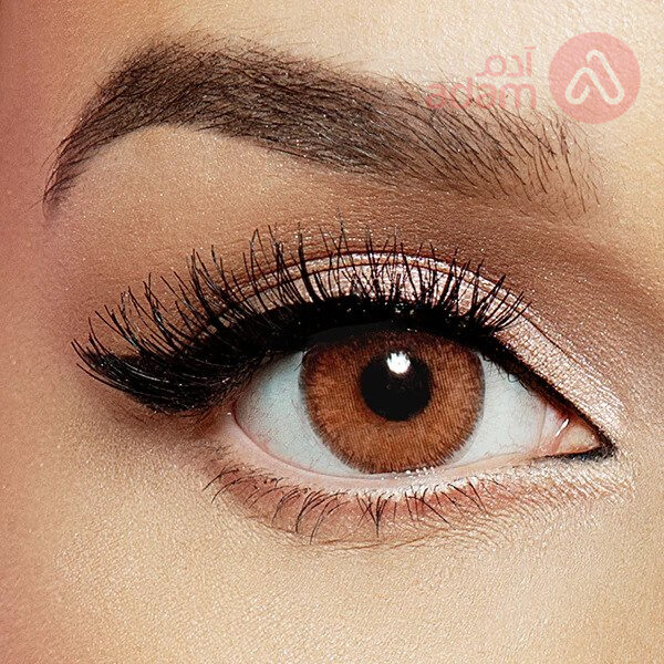 LAYALA LENSES MONTHLY CHOCOLATE BROWN