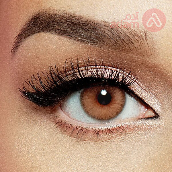 LAYALA LENSES MONTHLY GOLDEN BROWN