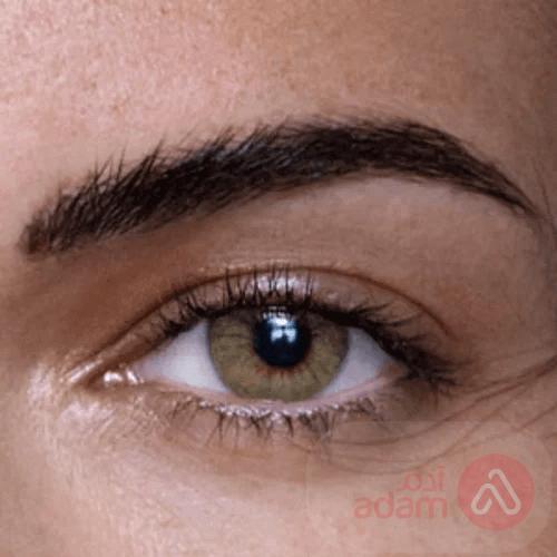 ANESTHESIA ADDICT ARENA LENSES