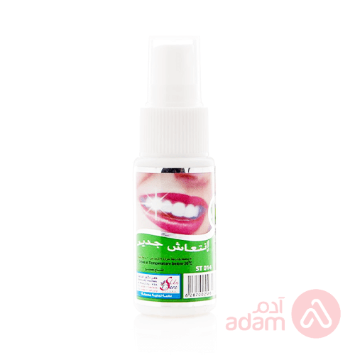 FRESH ME MOUTH SPY MINT 25ML