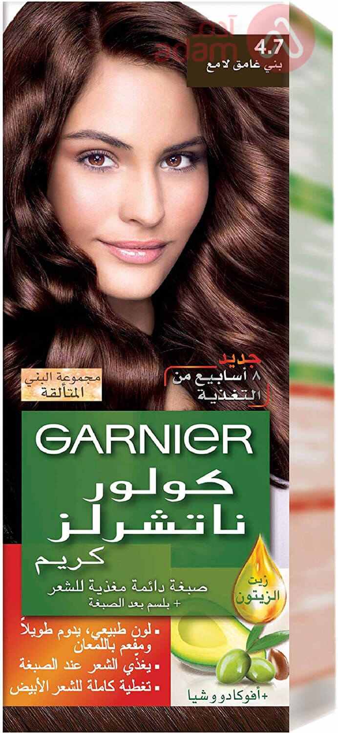 GARNIER CLR NAT 4.7 DARK SHINY BROWN